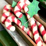 Candy Cane and Holly Design by Tish Bachleda