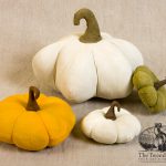 Flattened pumpkins designed by Tish Bachleda