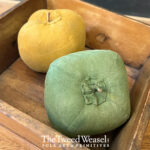 Timeless Green and Yellow Pepper Designs by Tish Bachleda